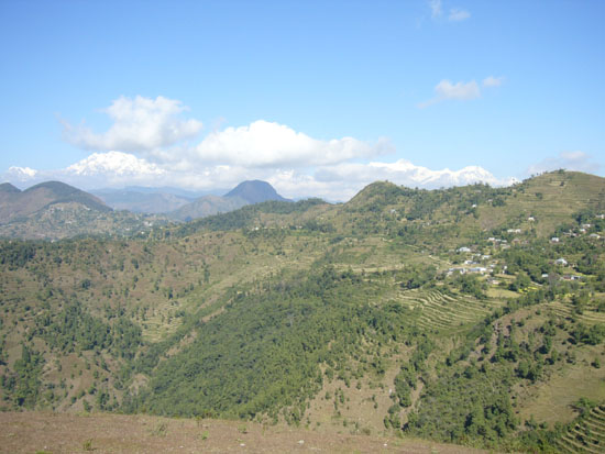 P1060803
